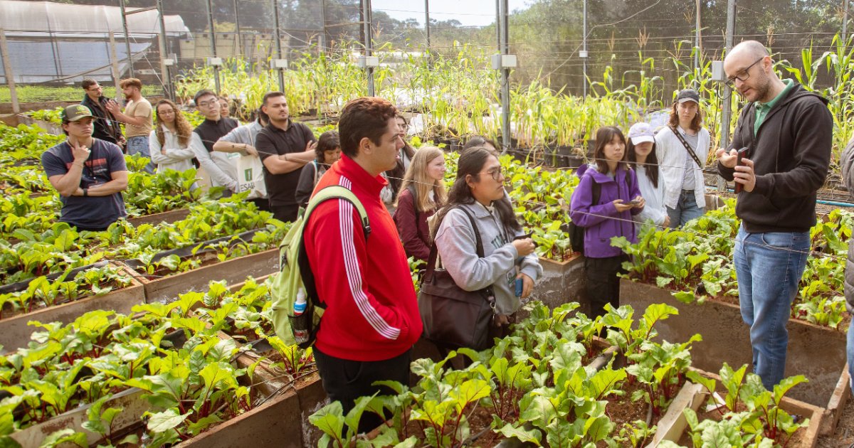 Curso internacional reúne estudantes de 24 países para discutir futuro da produção de alimentos 
