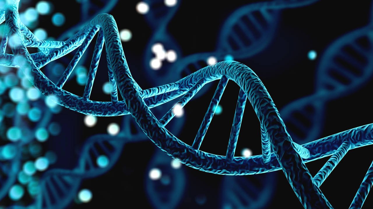 Estudo revela que o 'fundo genético' molda a gravidade de transtornos do neurodesenvolvimento 