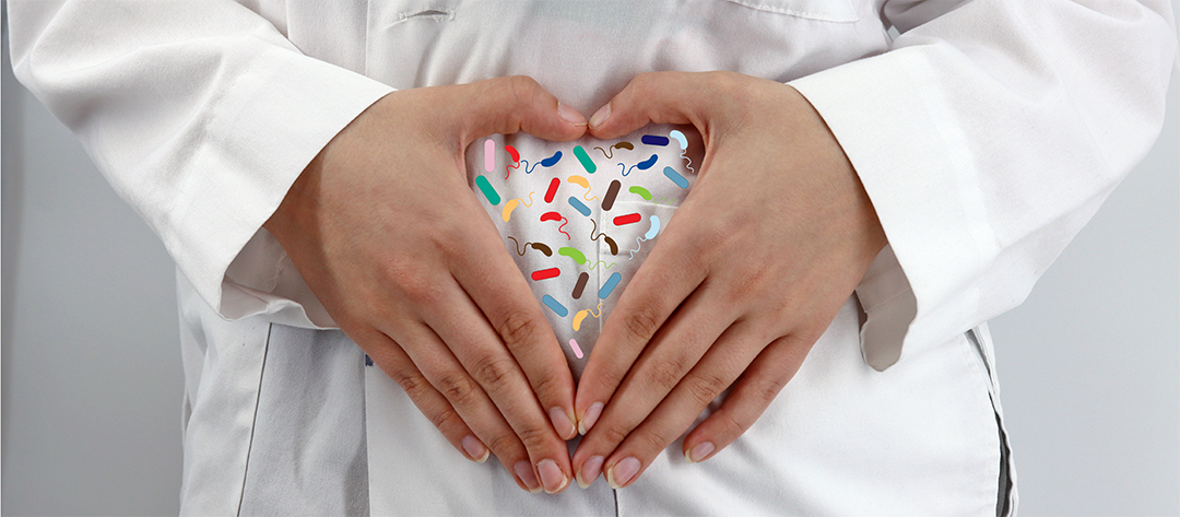 Estudo usa modelagem metabólica para prever quem responde a probióticos e prebióticos