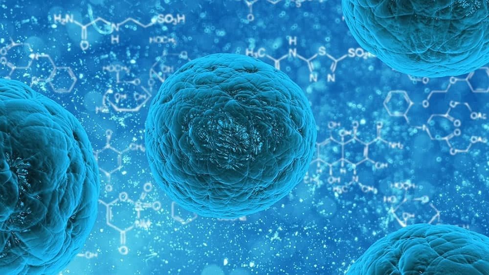 Células sintéticas ganham 'olhos' da inteligência artificial e aceleram busca por vida artificial 