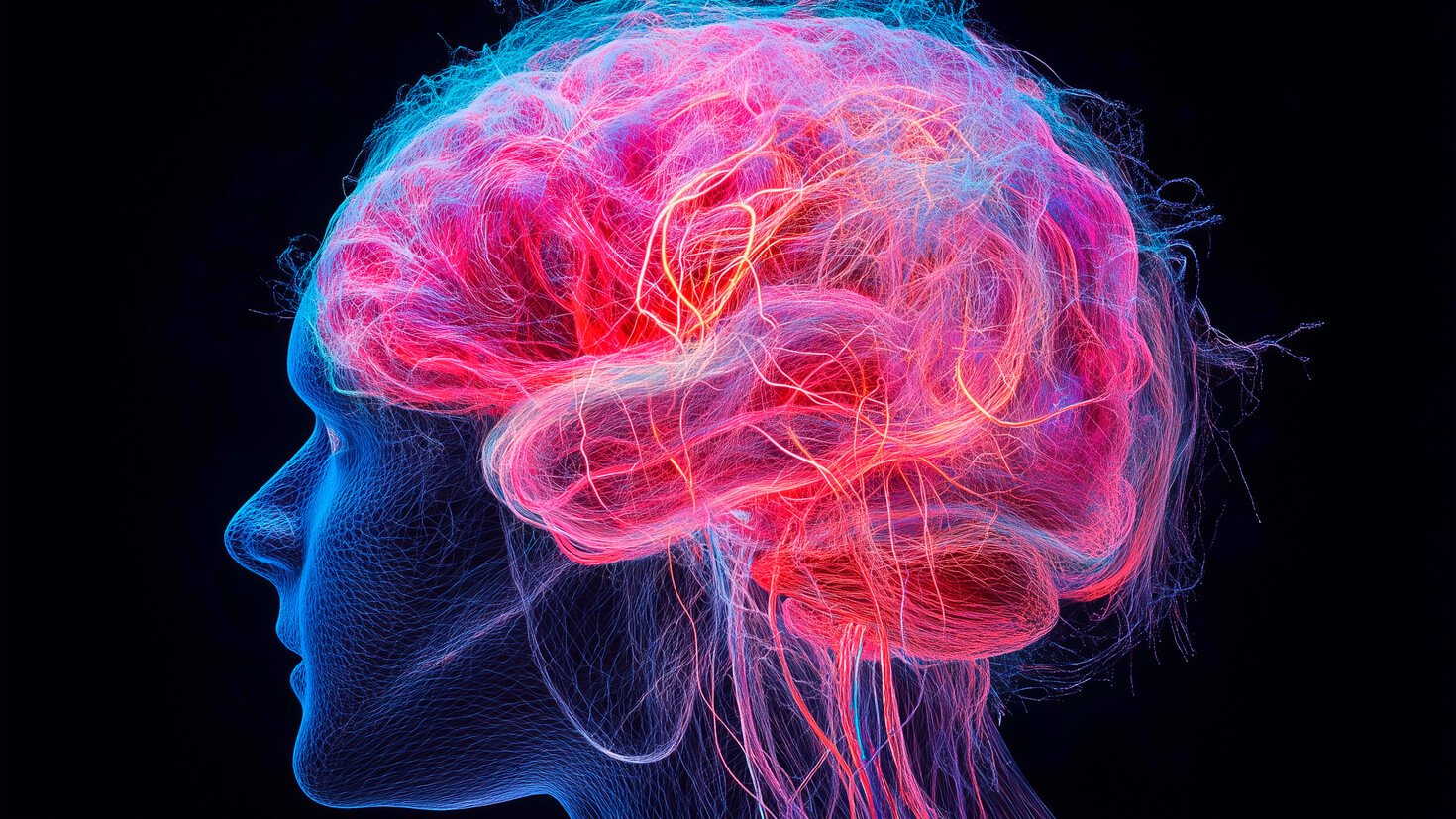 Neurociência ganha nova lente para decifrar a inibição cerebral